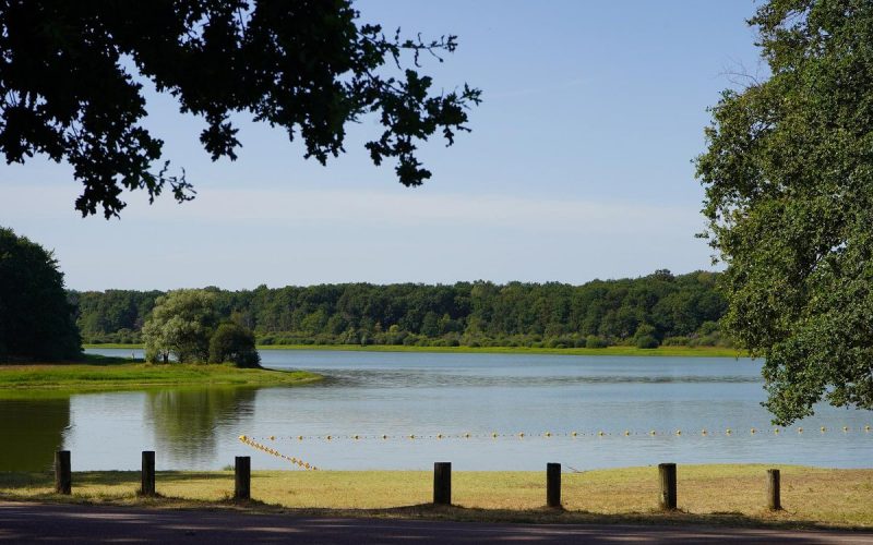 Lac-du-bourdon-saint-fargeau--1--2-800x500 lac du bourdon